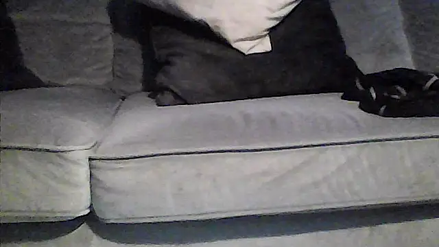 perlados webcam