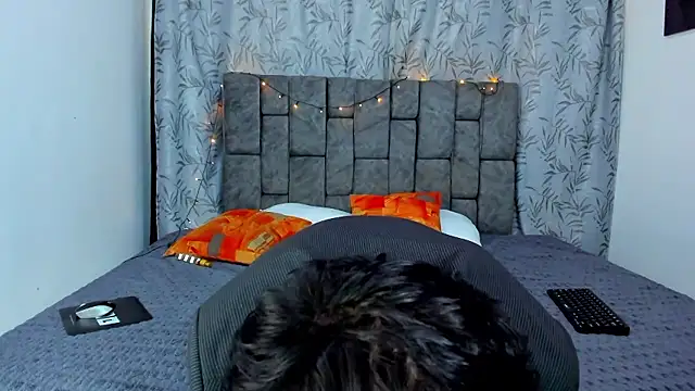 Dantekent webcam