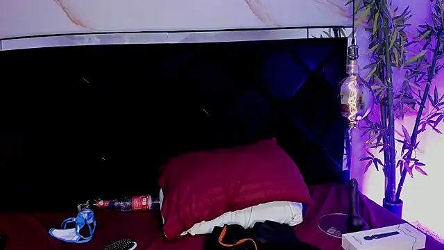 Ibbie_drastic webcam