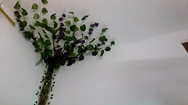 abby_moss_2 - Abby_moss_2's free webcam - UK Sex Cams