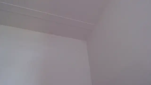 elizabethmiler - ElizabethMiler's free webcam - UK Sex Cams