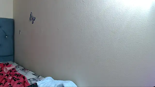 VICTORYXS1 webcam
