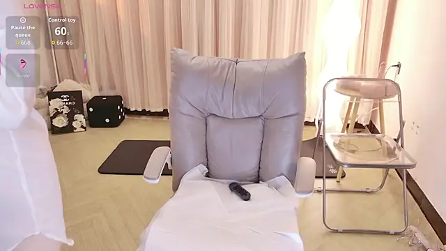 BoxedGyre- webcam