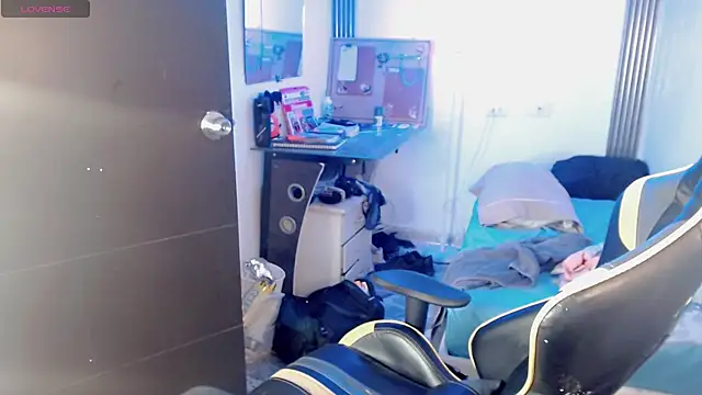 Liarr_ webcam