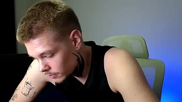 DENIS_HERE webcam
