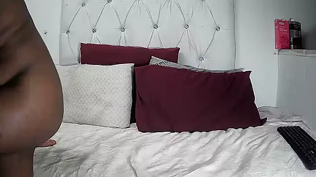 BaselBlues webcam