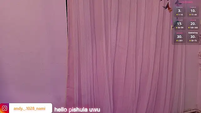 Nami_usagi webcam