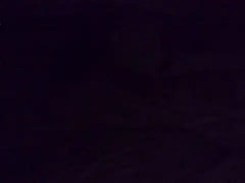 Horny-quen webcam