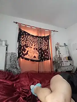 LaCristinatrans webcam