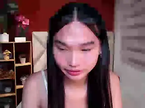 universal_cutie webcam