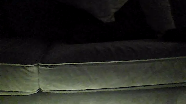 perlados webcam