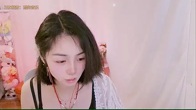 Puresnow webcam