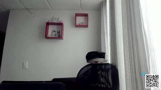 seijaku_ webcam