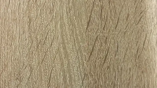 NoFace_Model webcam