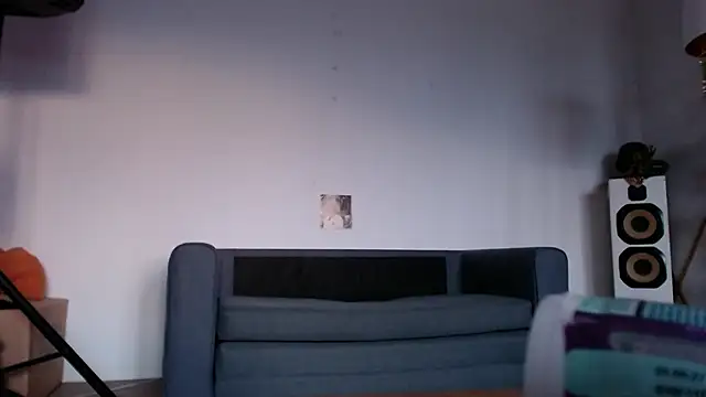Cordt30 webcam