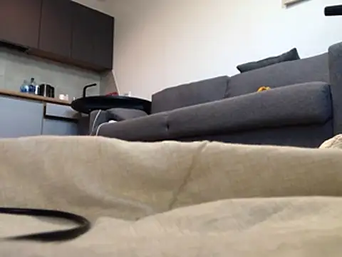 BigAssKi webcam
