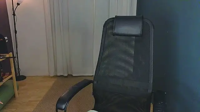 laracroftmansion webcam