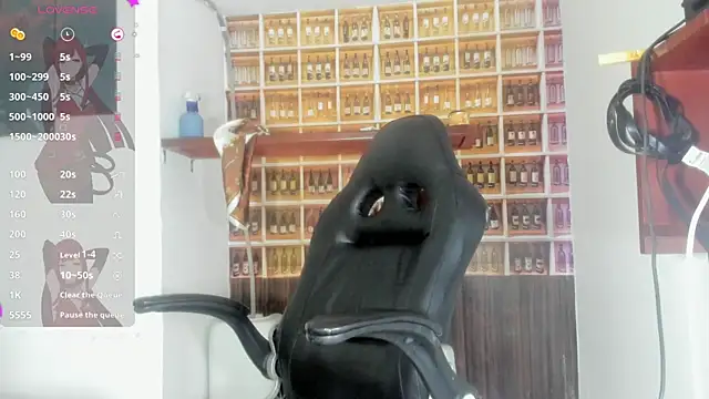 _Shirley_ webcam