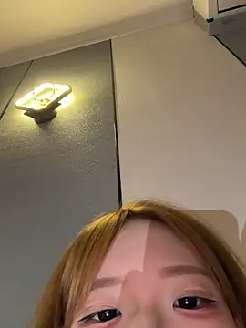 linlian3 webcam