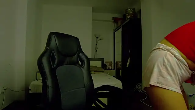 DedeSibel webcam