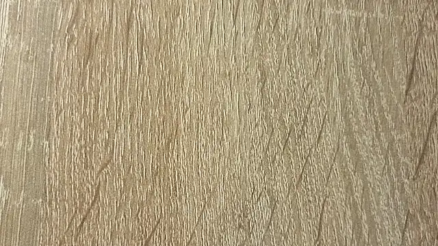 NoFace_Model webcam