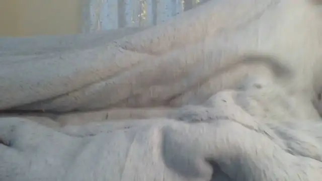 ndivhuwomuleya - Ndivhuwomuleya's free webcam - UK Sex Cams
