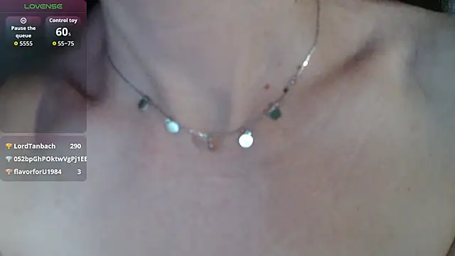BB_Web webcam