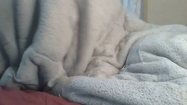 ndivhuwomuleya webcam