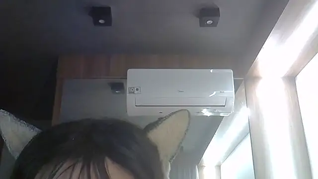SkinnyKitten webcam