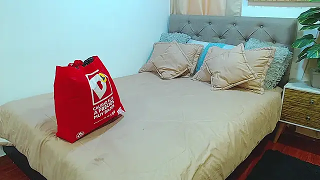sasi_luna webcam