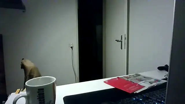 alpha-hunk webcam