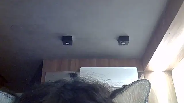 SkinnyKitten webcam
