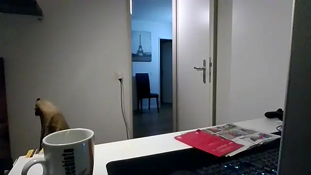 alpha-hunk webcam