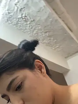 Misty-kat webcam