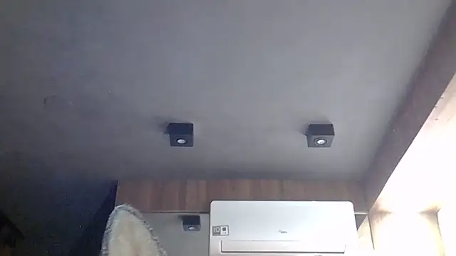 SkinnyKitten webcam