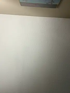 master_jax webcam