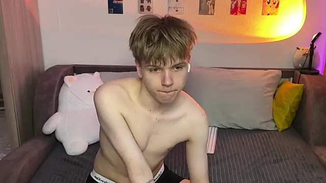 metarion webcam