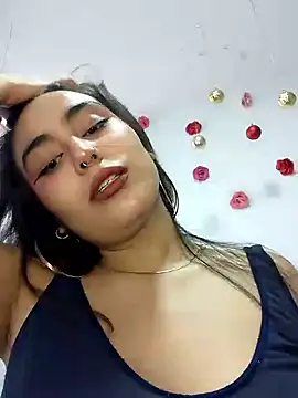 hancock-boa webcam