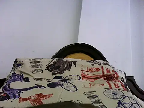TomaTuYuco webcam