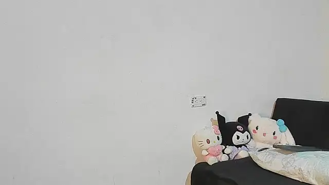 Eirlysx webcam