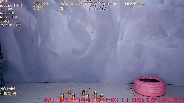 tl-99-09 webcam