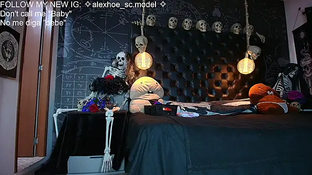 AlexHoe_ webcam
