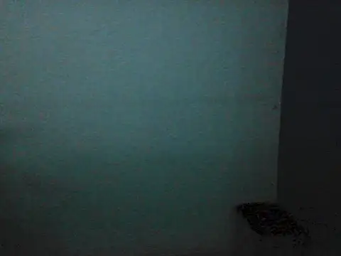 Kalel17073 webcam