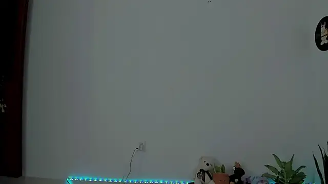 star_shooting8 webcam