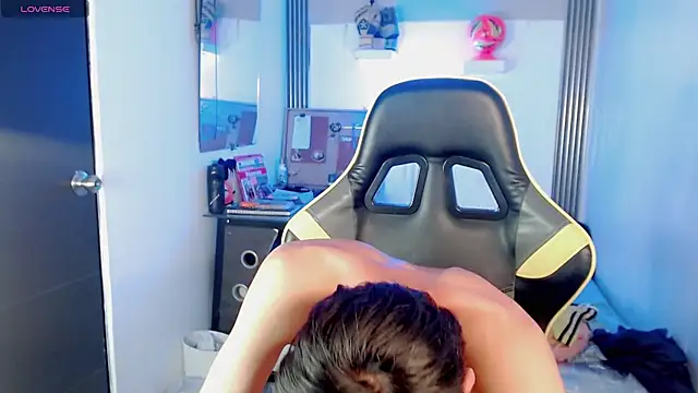 Liarr_ webcam