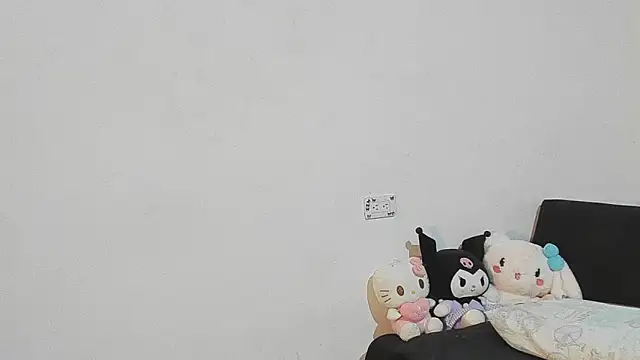 Eirlysx webcam