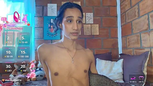 skyyfoxpraga webcam