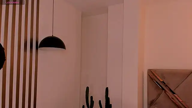 LaurentRosse1 webcam