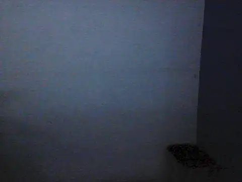 Kalel17073 webcam