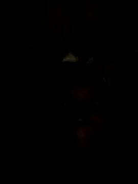 Saftware webcam